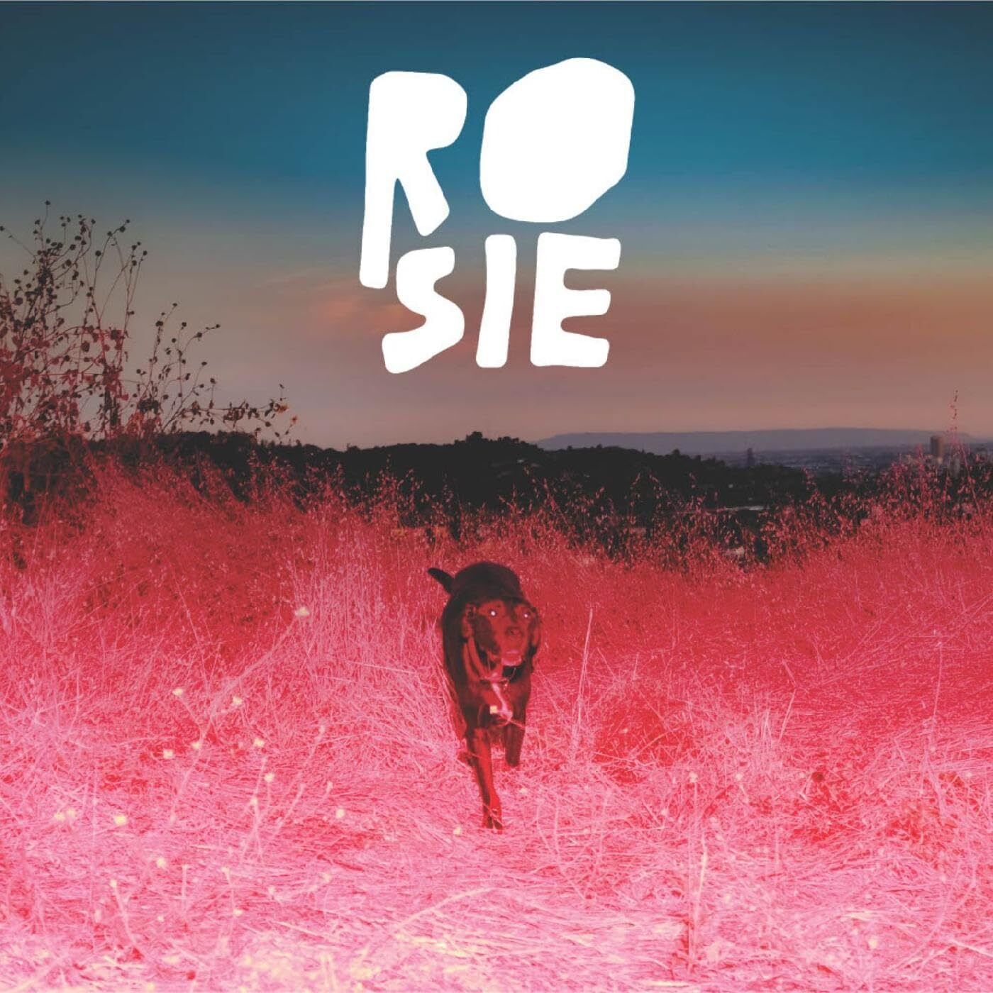 Kaycie Satterfield Rosie (Vinyl LP) 12" Album Coloured Vinyl