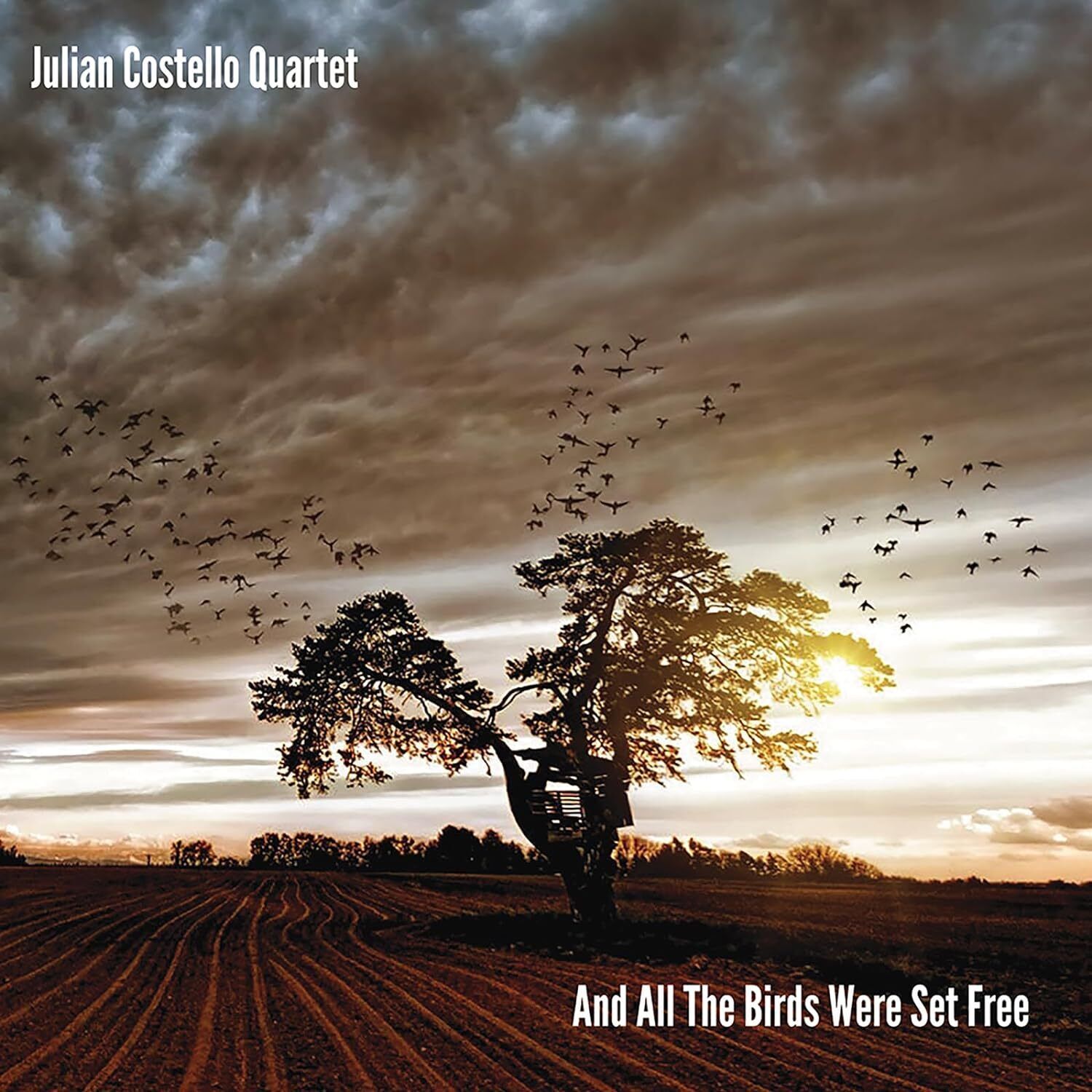 Julian Costello Quartet And All the Birds Were Set Free (CD) Album Digipak