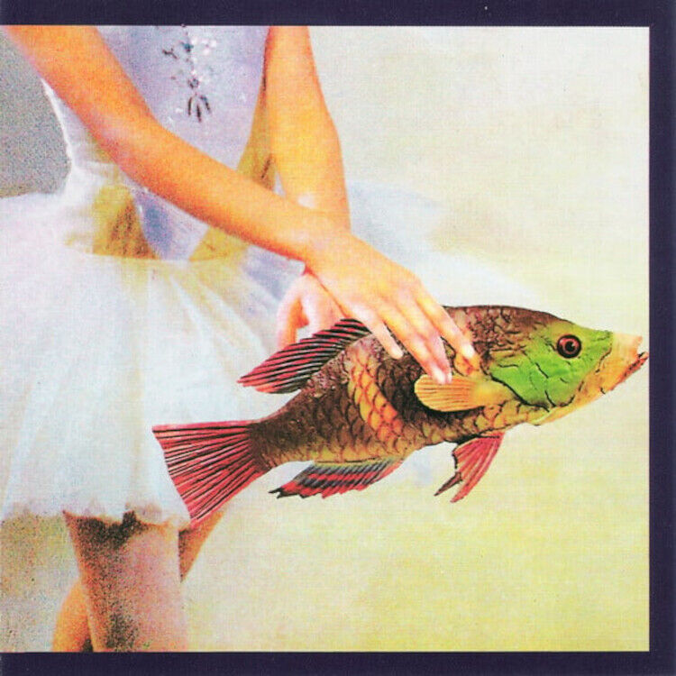 Chris Burke Idioglossia (CD) Album