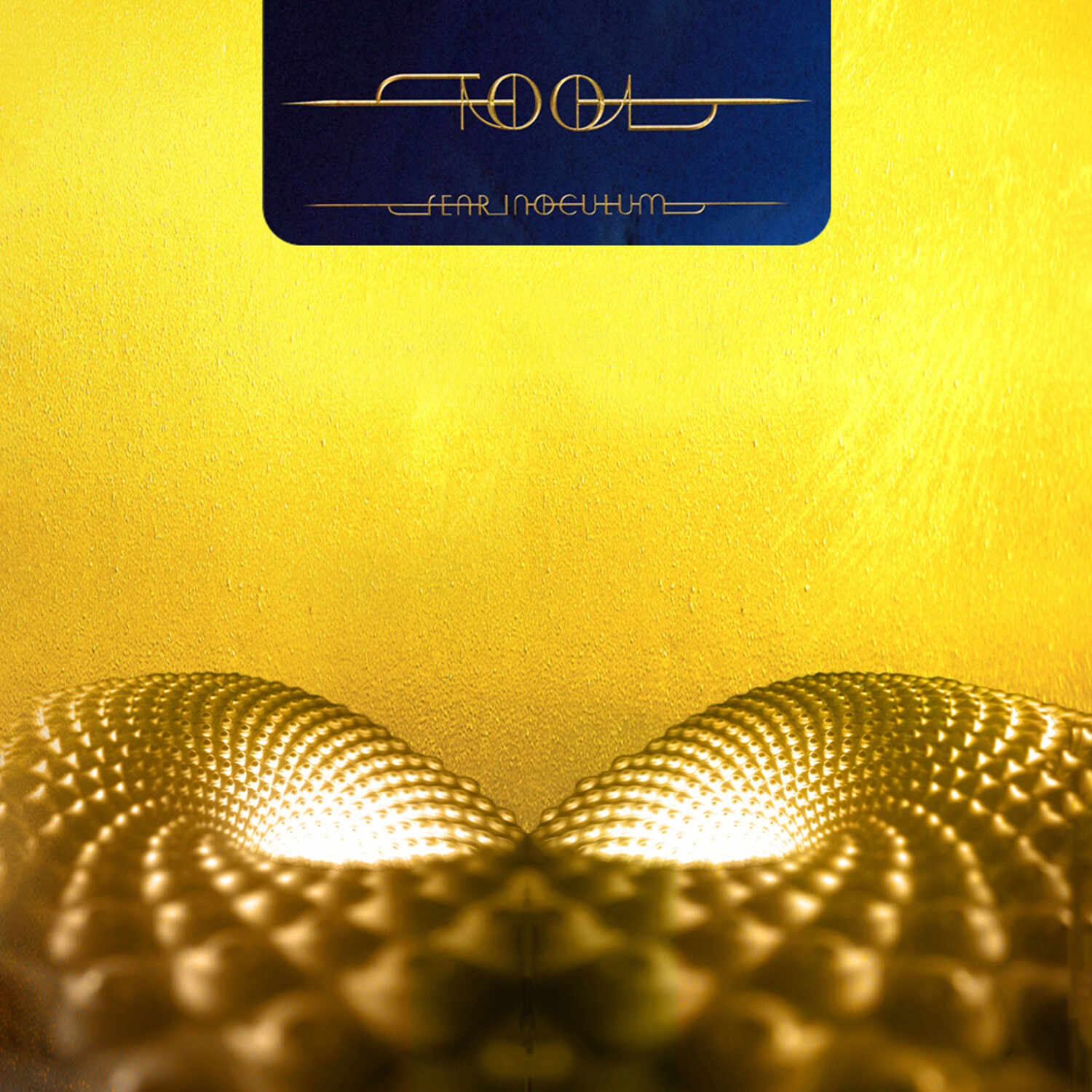 Tool - Fear Inoculum - 3 Vinili (180 gr. vinyl black + poster 12x36)