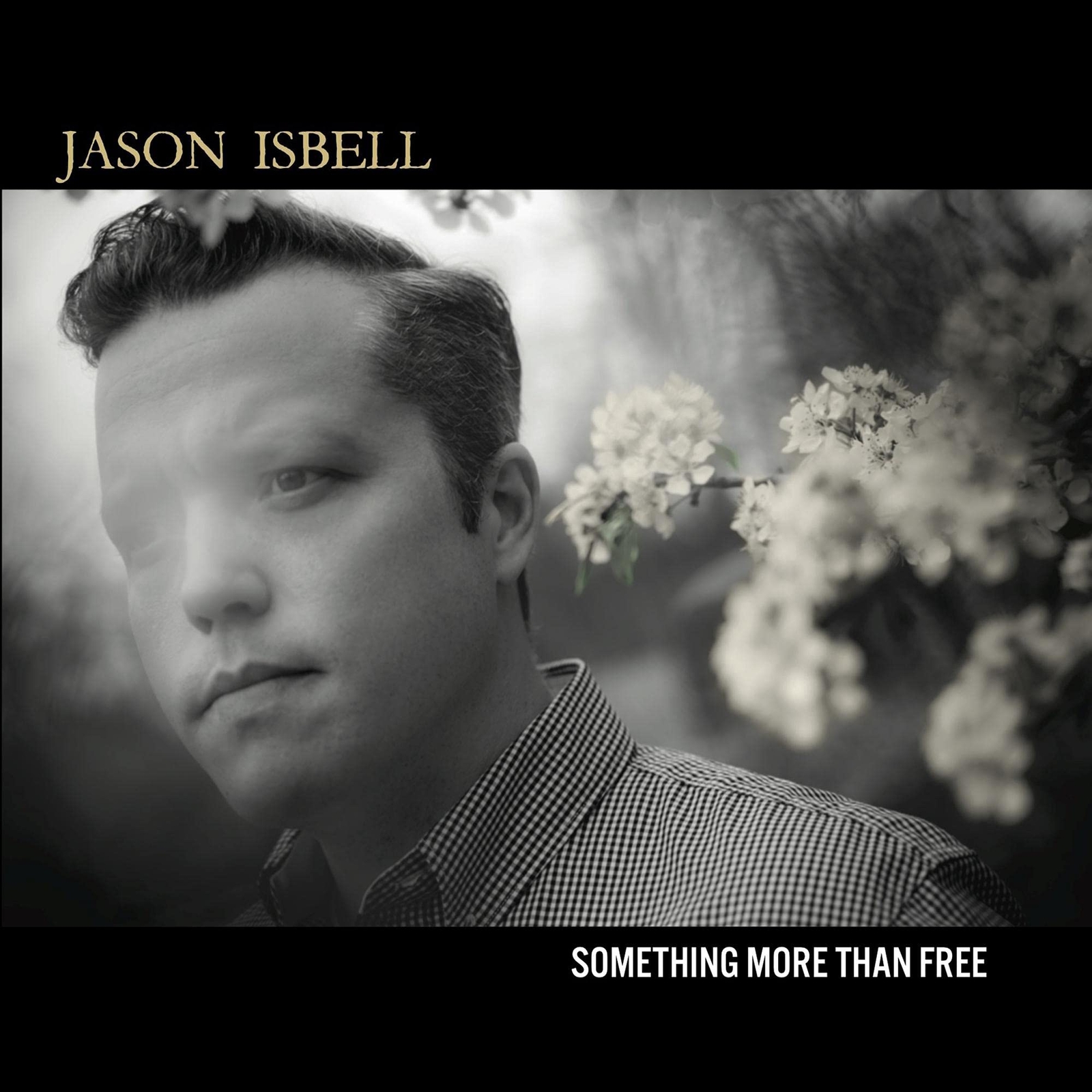 Jason Isbell Something More Than Free CD SER9986 NEW