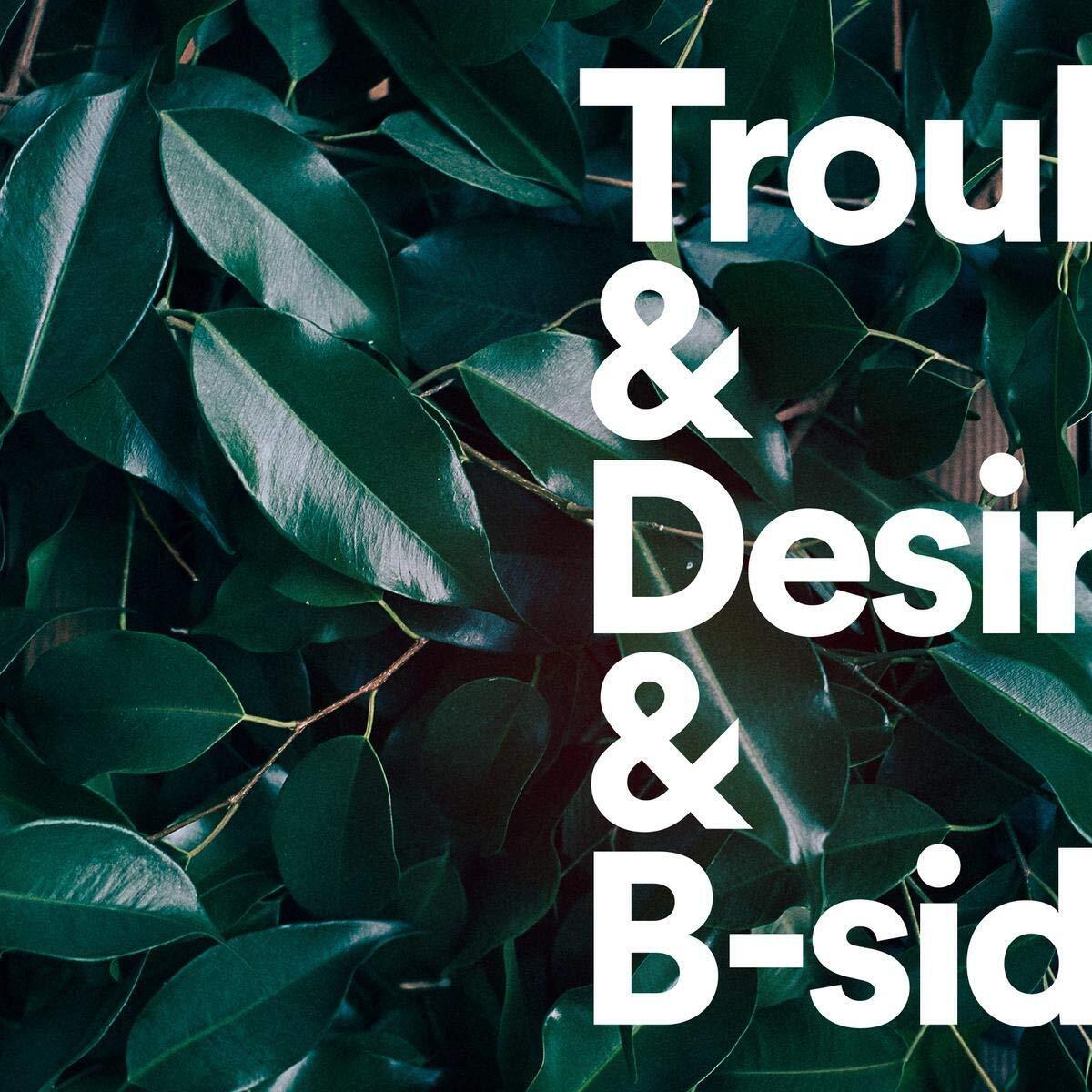 Tiger Lou Trouble & Desire and B-Sides (Vinyl LP)