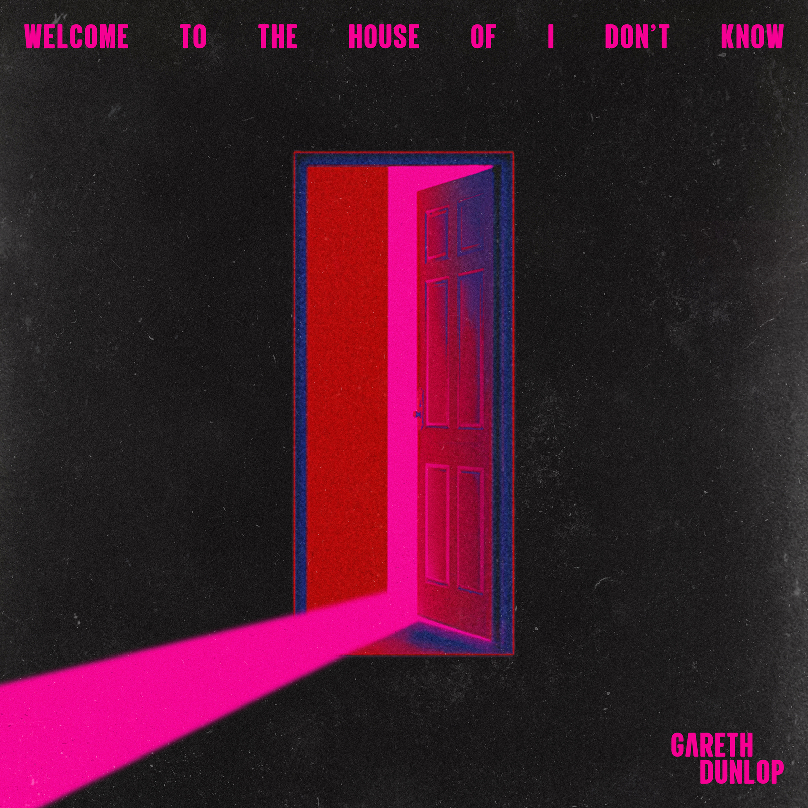 Gareth Dunlop Welcome to the House of I Don't Know (Vinyl LP)