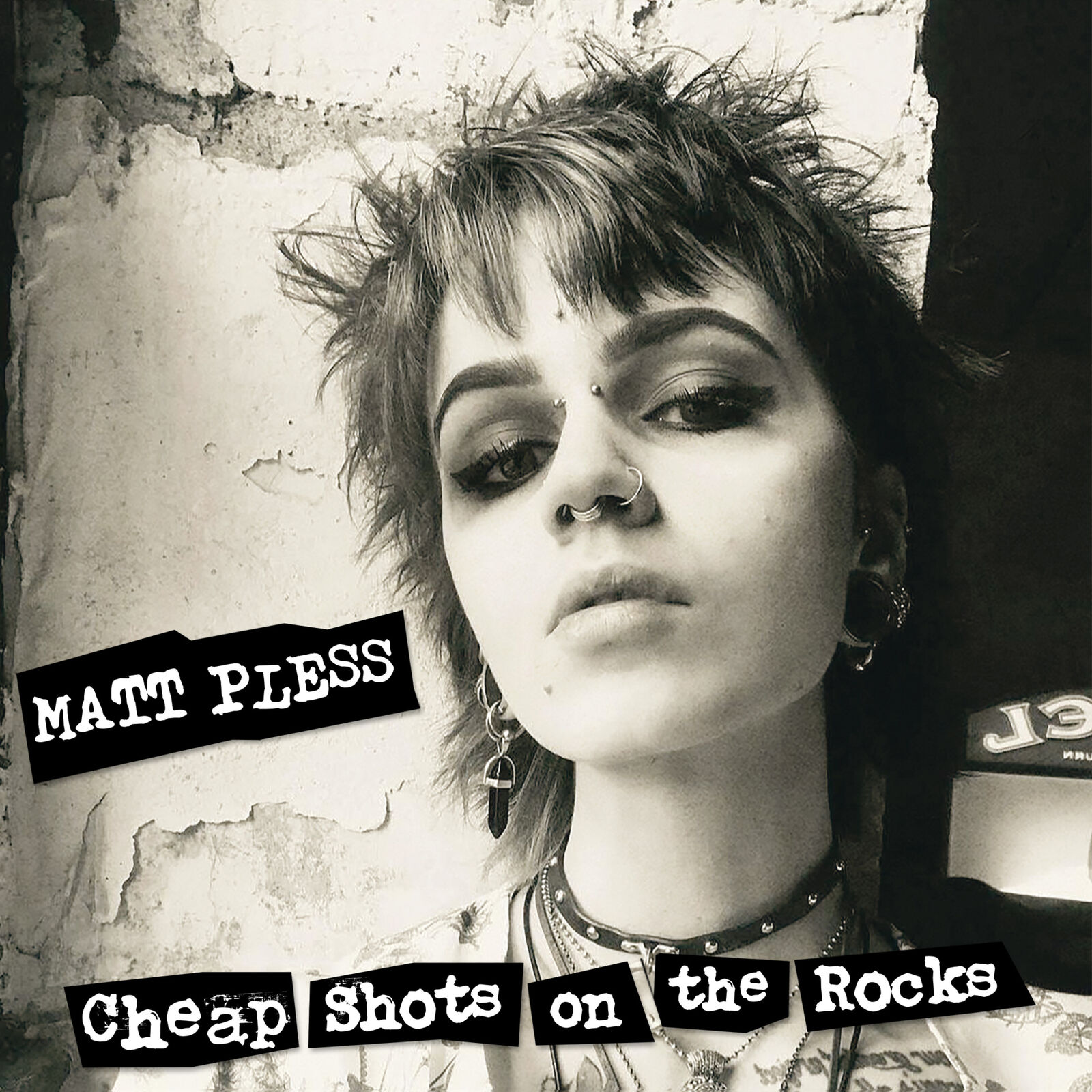 Matt Pless Cheap Shots On the Rocks (Vinyl LP) 12" Album
