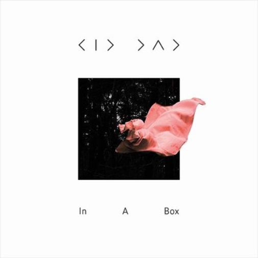 Kid Dad In a Box (Vinyl LP) 12" Album
