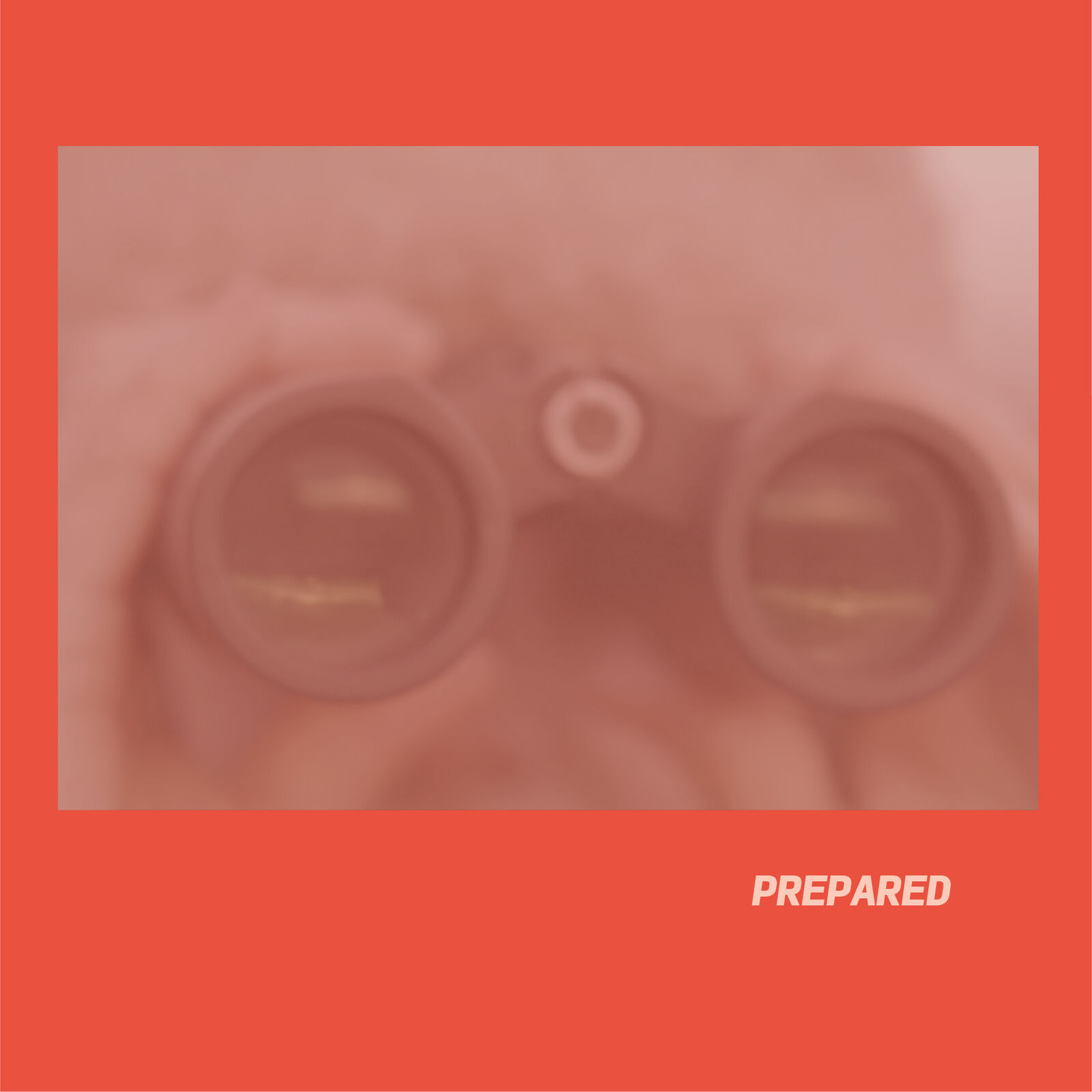Laura J Martin Prepared (CD) Album
