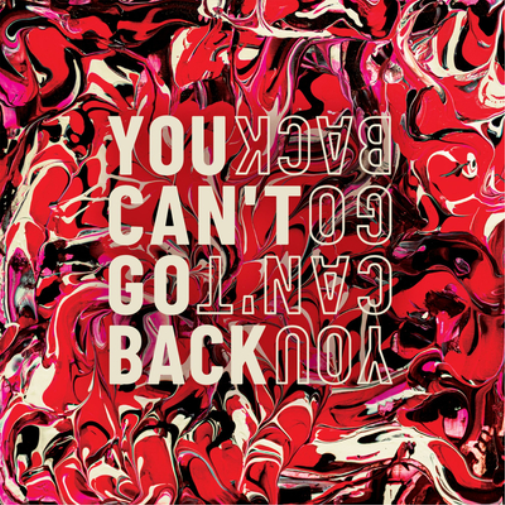 Sarin You Can't Go Back (Vinyl LP) 12" Album