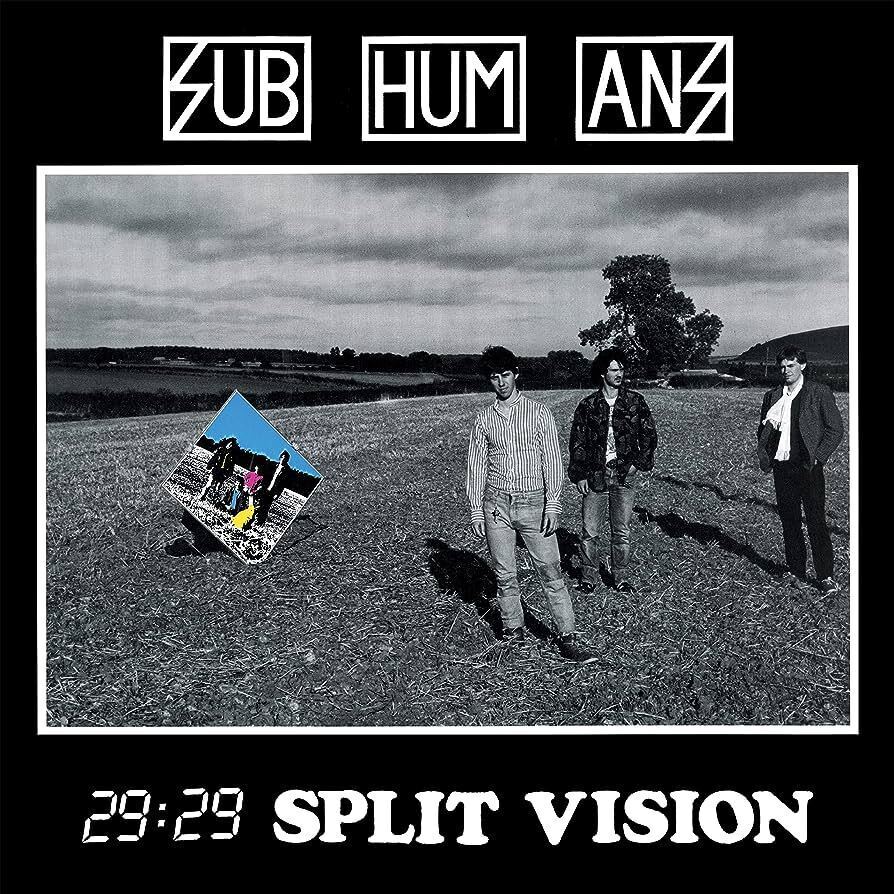 Subhumans 29:29 Split Vision (Vinyl LP)