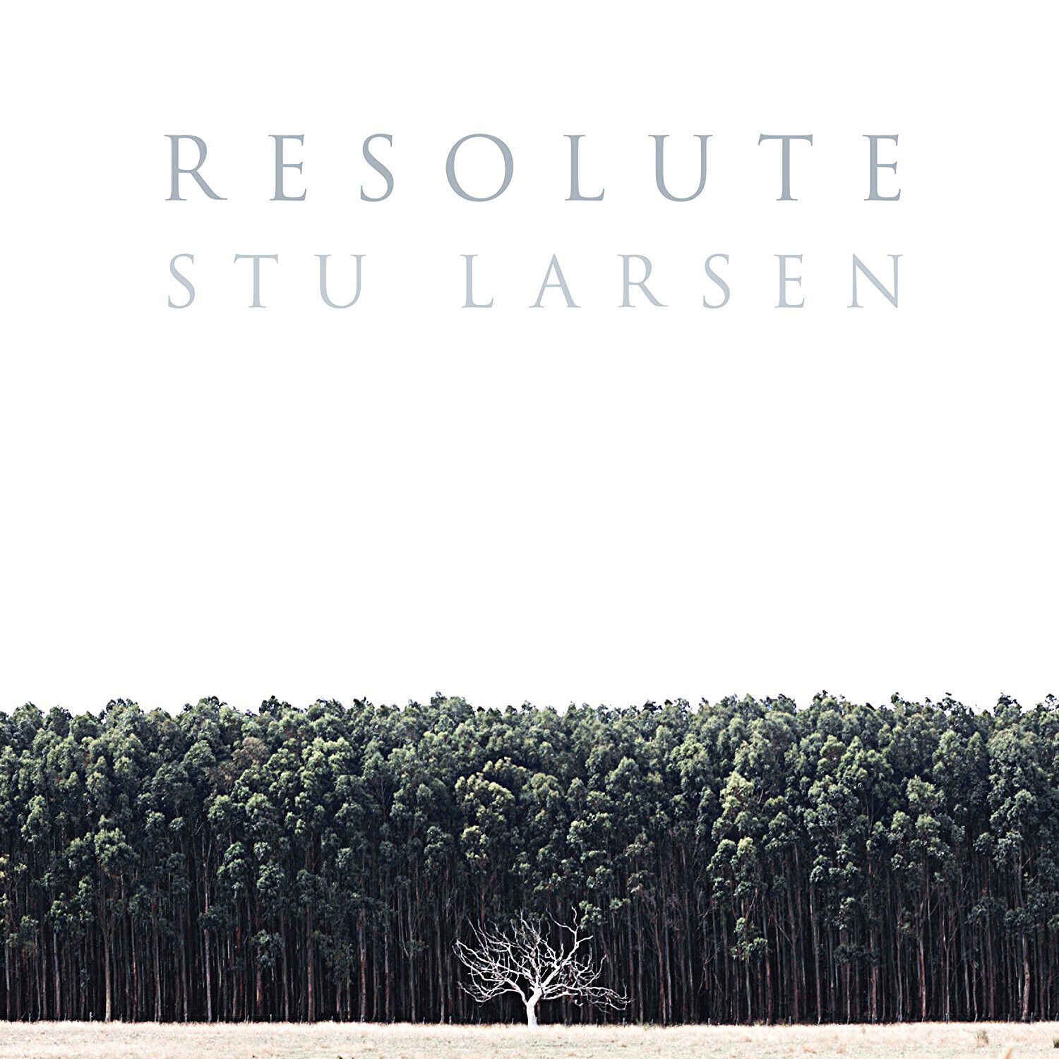 Stu Larsen Resolute (Vinyl LP) 12" Album