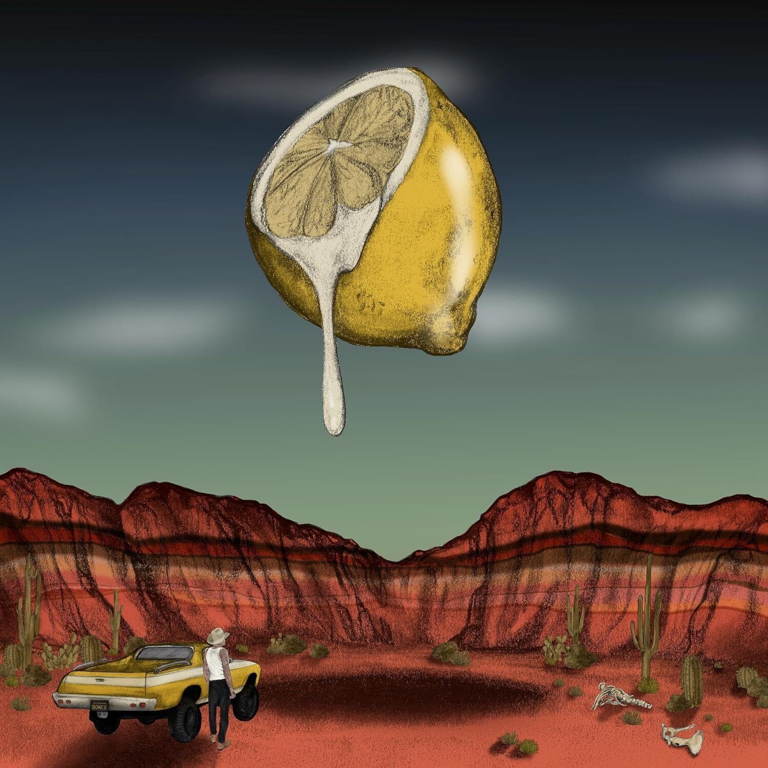 Bones Owens Love Out of Lemons (Vinyl LP) 12" Album