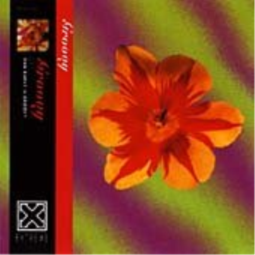 Groovy The Rebirth of Retro-Cool (CD)