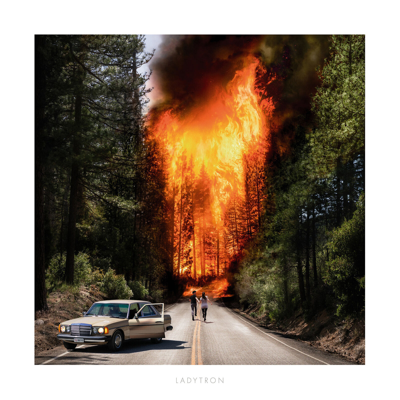 Ladytron Ladytron (Vinyl LP) 12" Album
