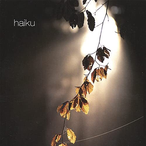 HAIKU D’ETAT Haiku (CD)