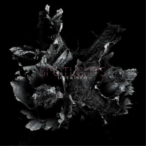 Spotlights Love & Decay (Vinyl LP) 12" Album