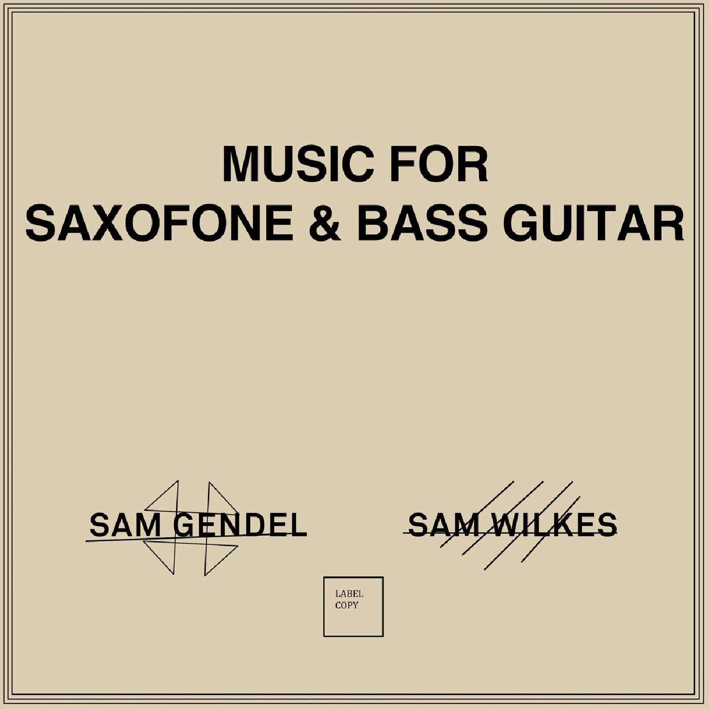 Sam Gendel & Sam Wilkes Music For Saxofone & Bass Guitar (Vinyl LP)