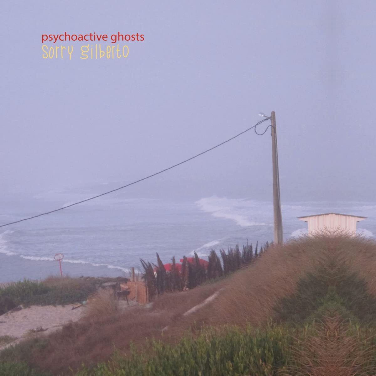 Sorry Gilberto Psychoactive Ghosts (Vinyl LP)
