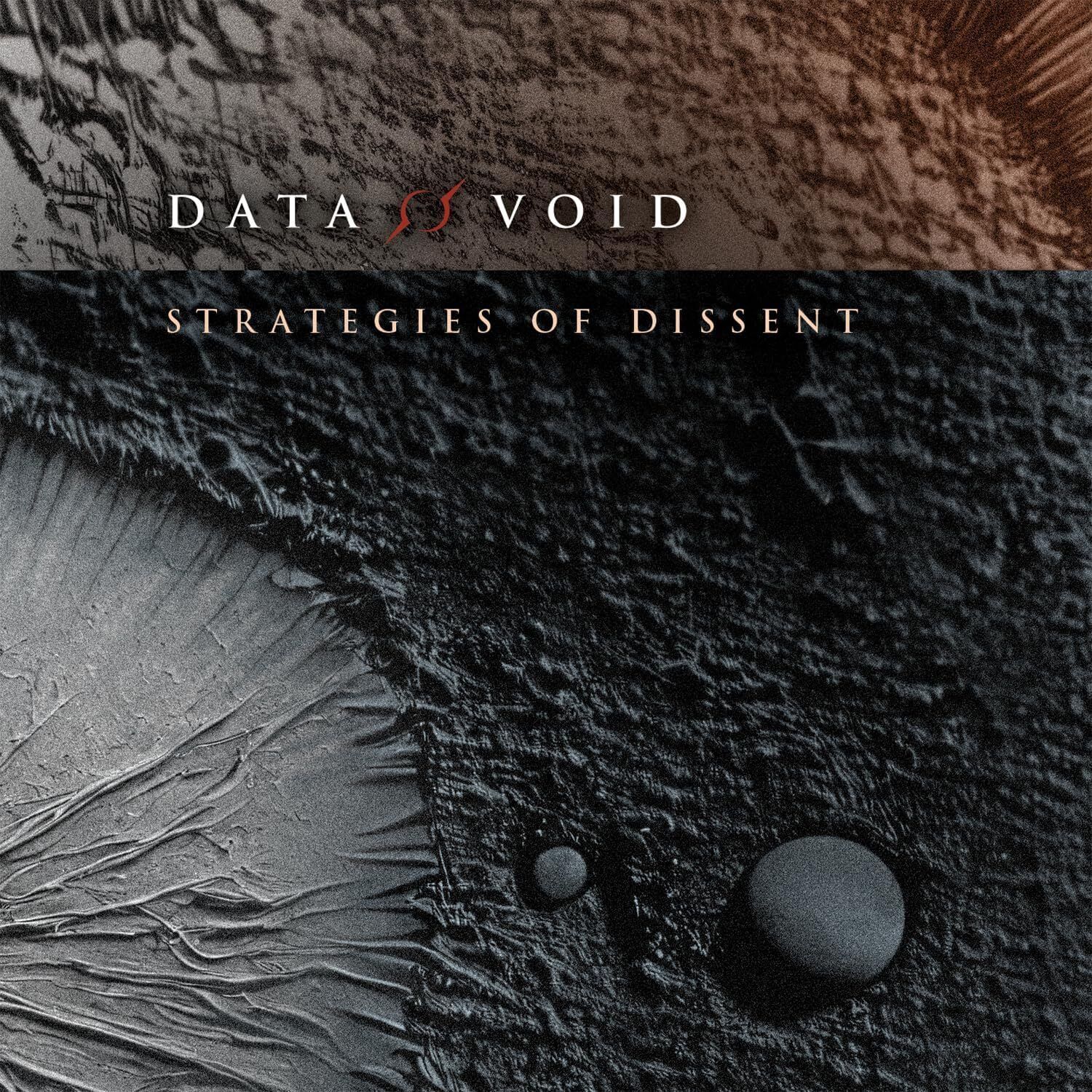 Data Void Strategies of Dissent (CD) Album