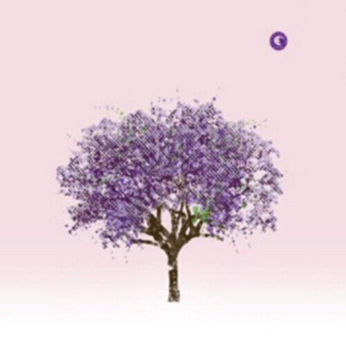 Eels Tomorrow Morning (CD) Album