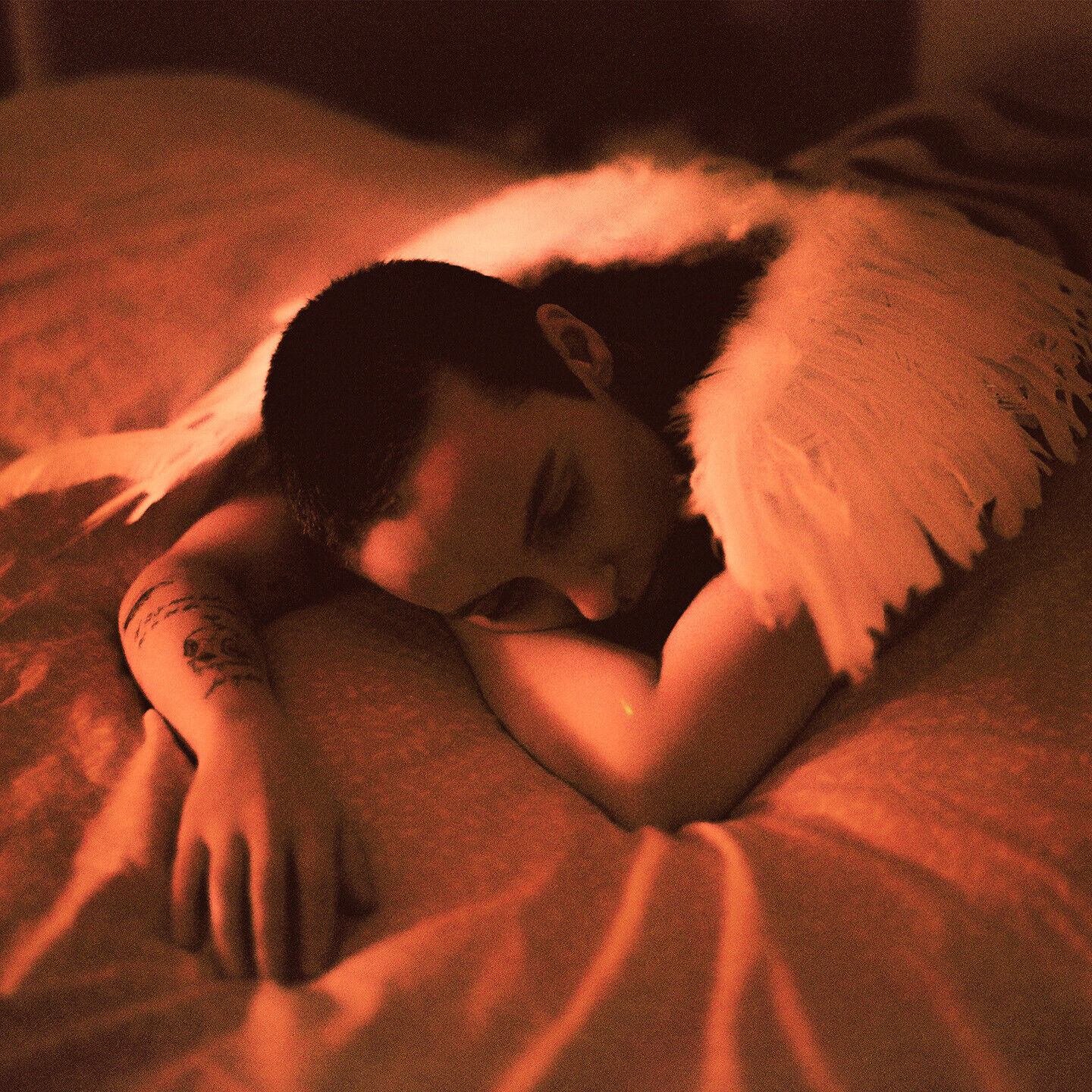 Sea Girls Midnight Butterflies (Vinyl LP) 12" Album