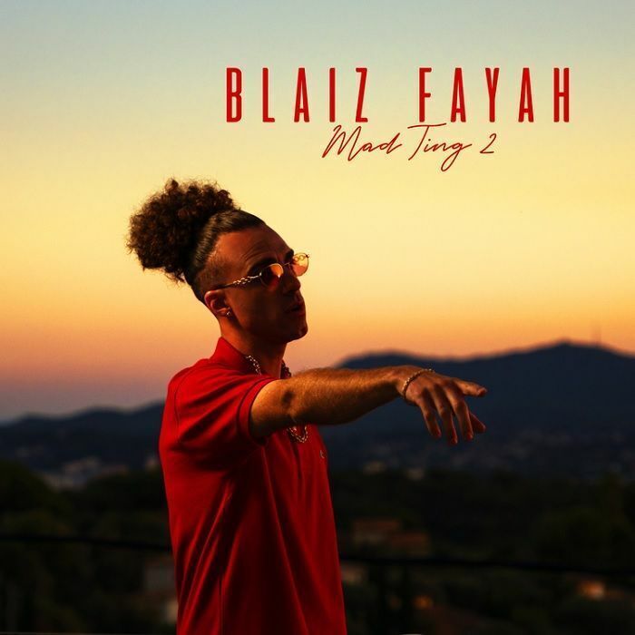 Blaiz Fayah Mad Ting - Volume 2 (Vinyl LP) 12" Album