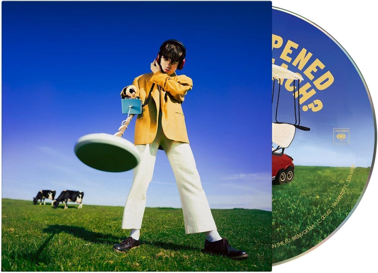 Declan McKenna What Happened to the Beach? (CD) Album