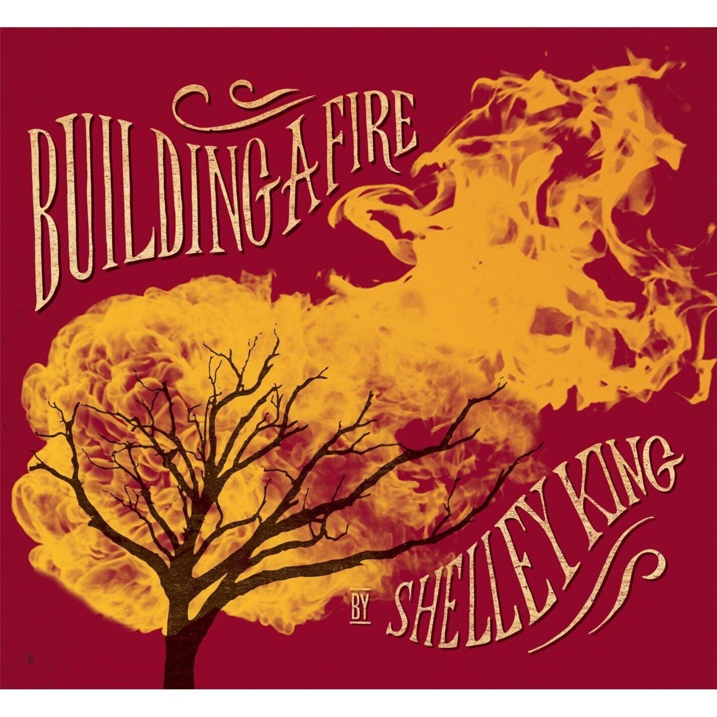 Shelley King Building a Fire (CD)