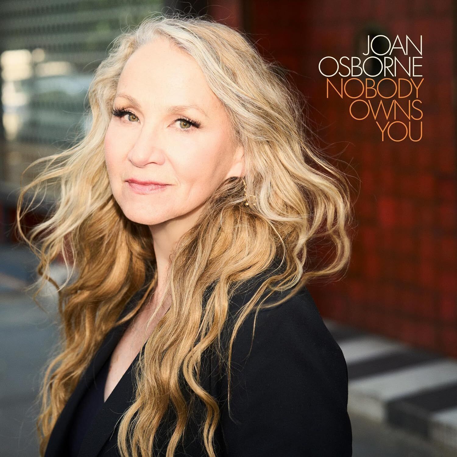Joan Osborne Nobody Owns You (CD) Album