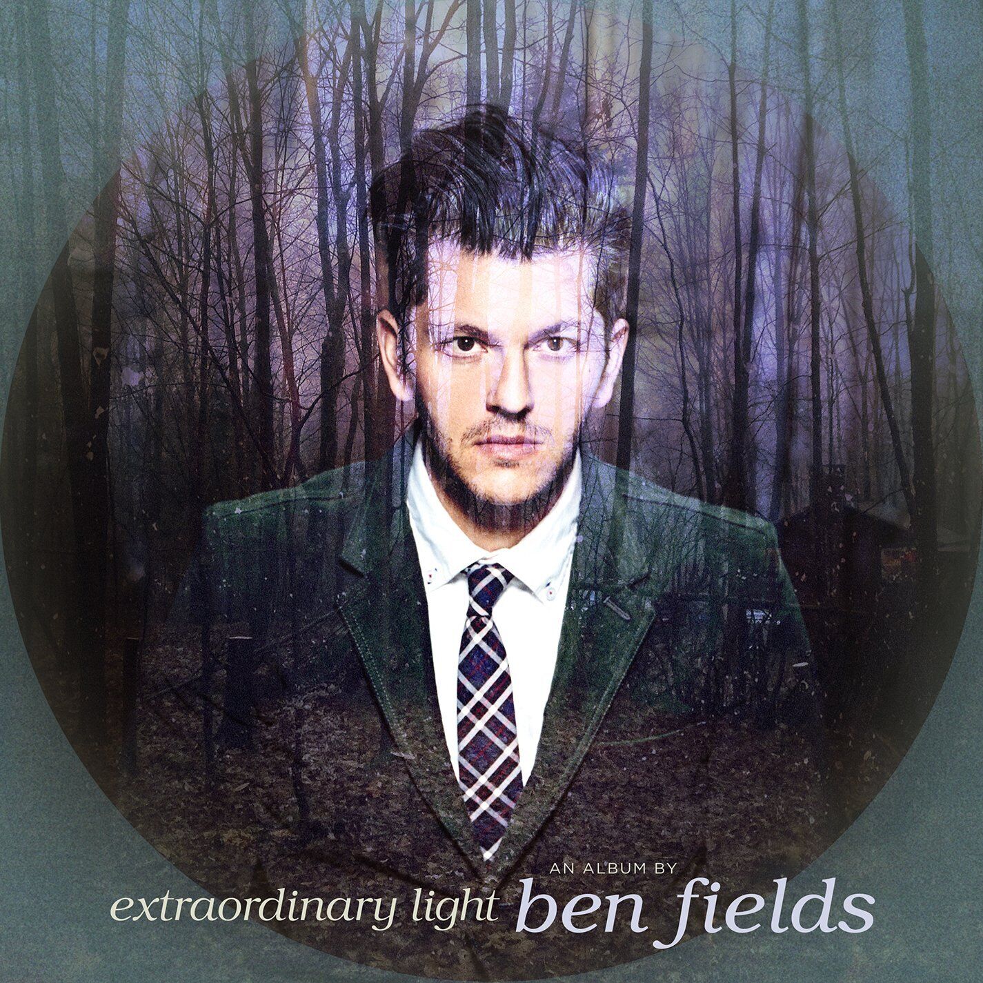 Ben Fields Extraordinary Light (Dl (Vinyl LP)