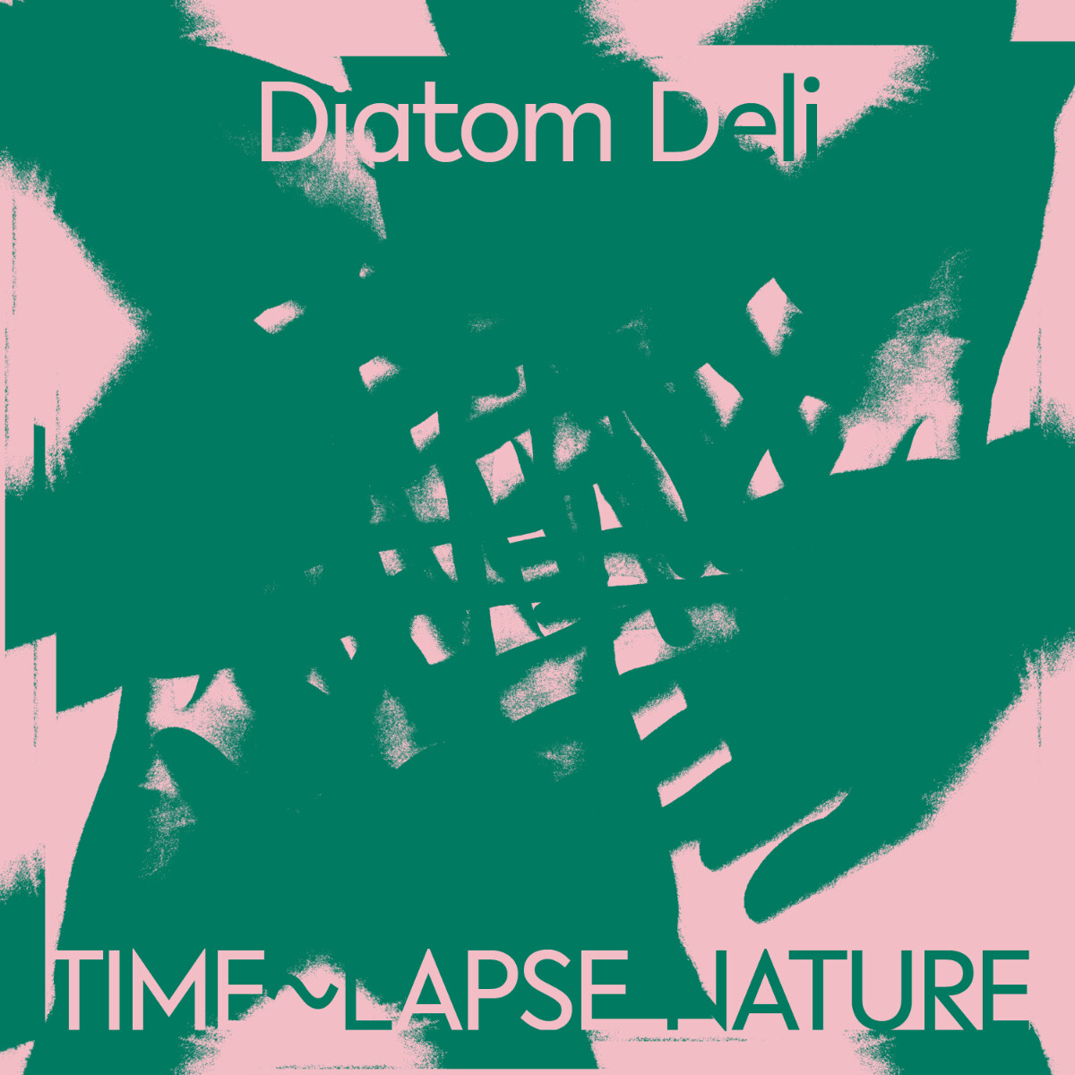 Diatom Deli Time lapse Nature (CD) Album