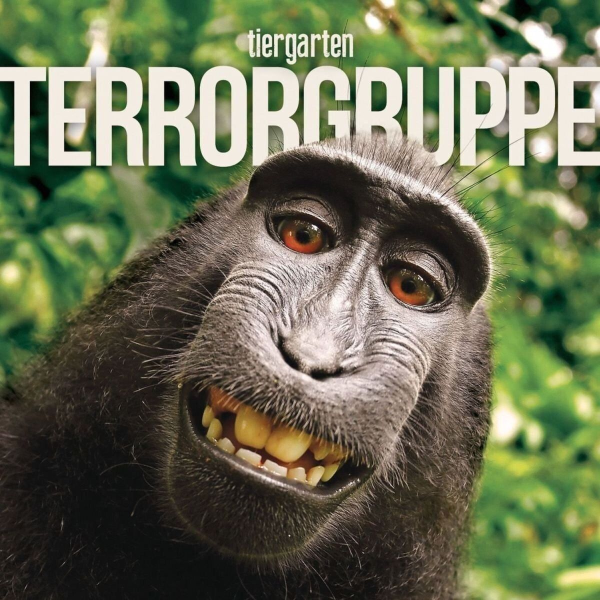 Terrorgruppe Tiergarten (Vinyl LP)