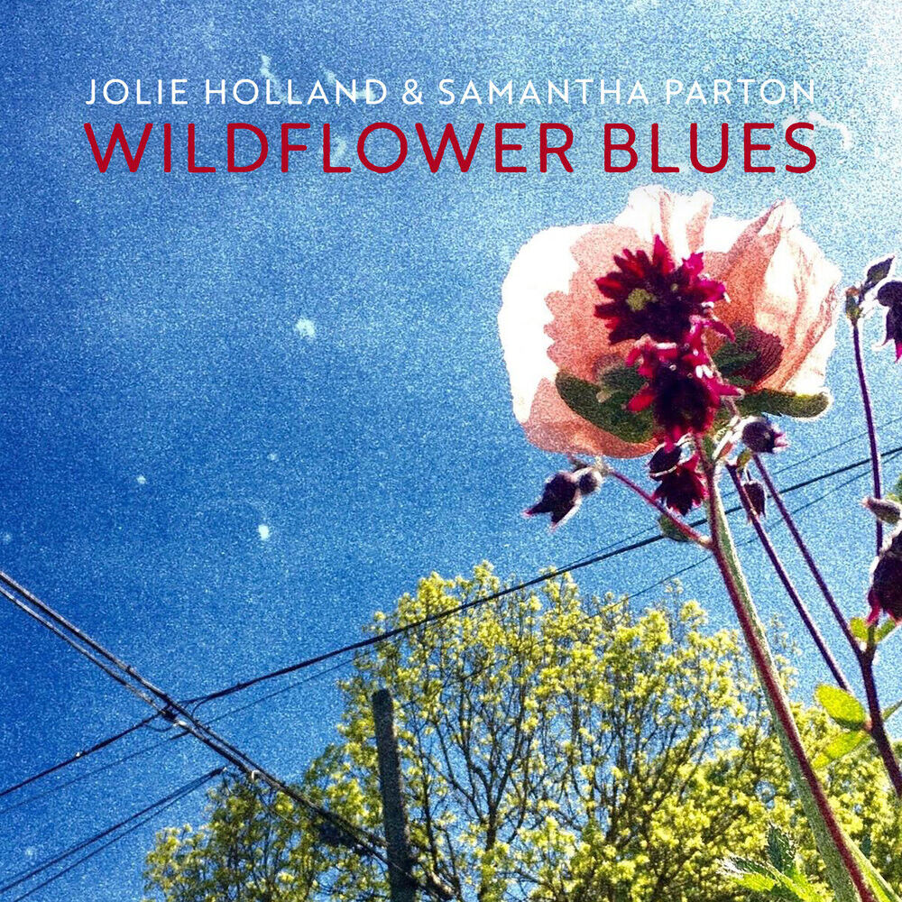 Jolie Holland & Samantha Parton Wildflower Blues (Vinyl LP) 12" Album