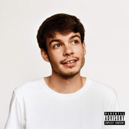 Rex Orange County Pony (Cassette)