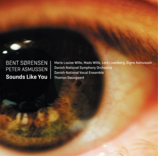 Bert Sorensen Bert Sorensen/Peter Asmussen: Sounds Like You (CD) Album