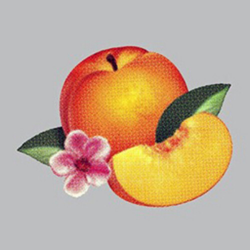 Phoenix Bankrupt! (CD) Album