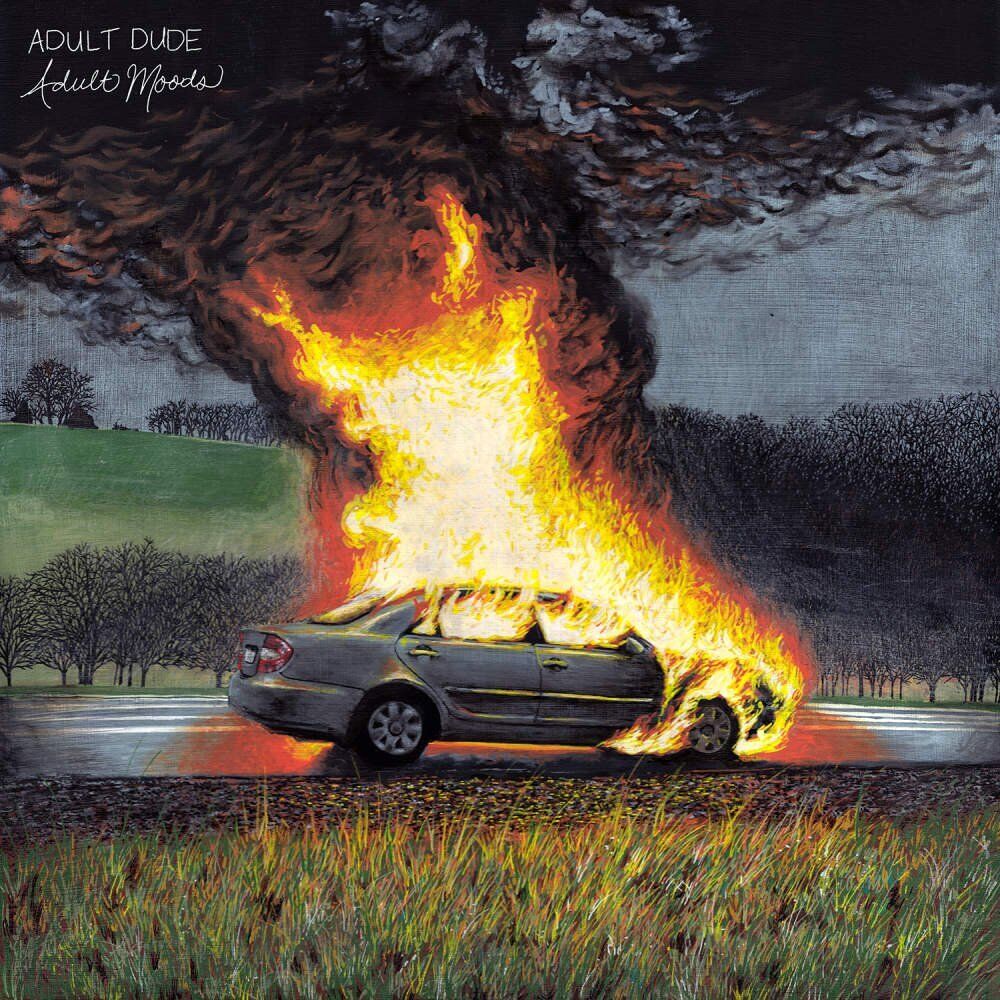 Adult Dude Adult Moods  explicit_lyrics (Vinyl LP)