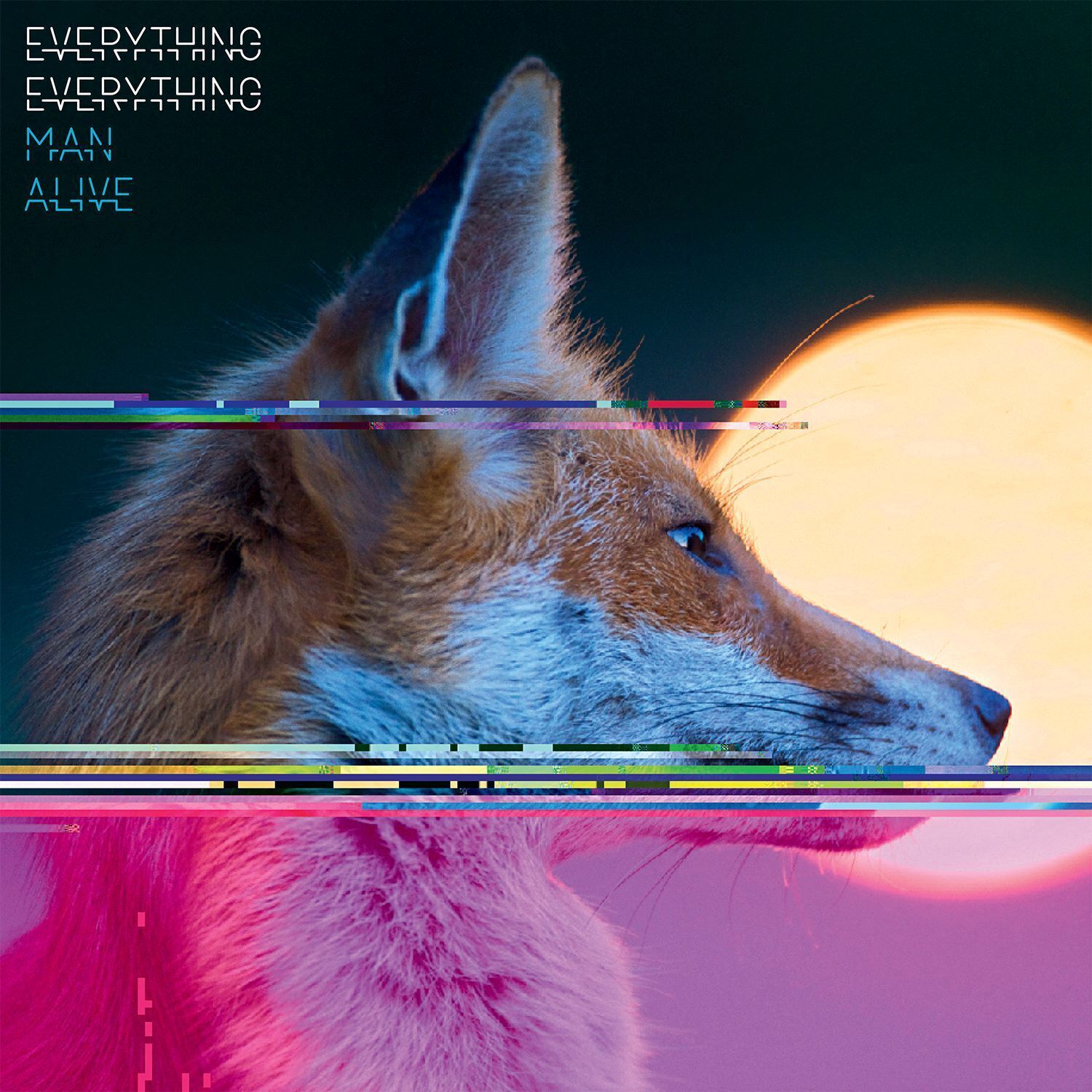 Everything Everything Man Alive (Vinyl LP) 12" Album