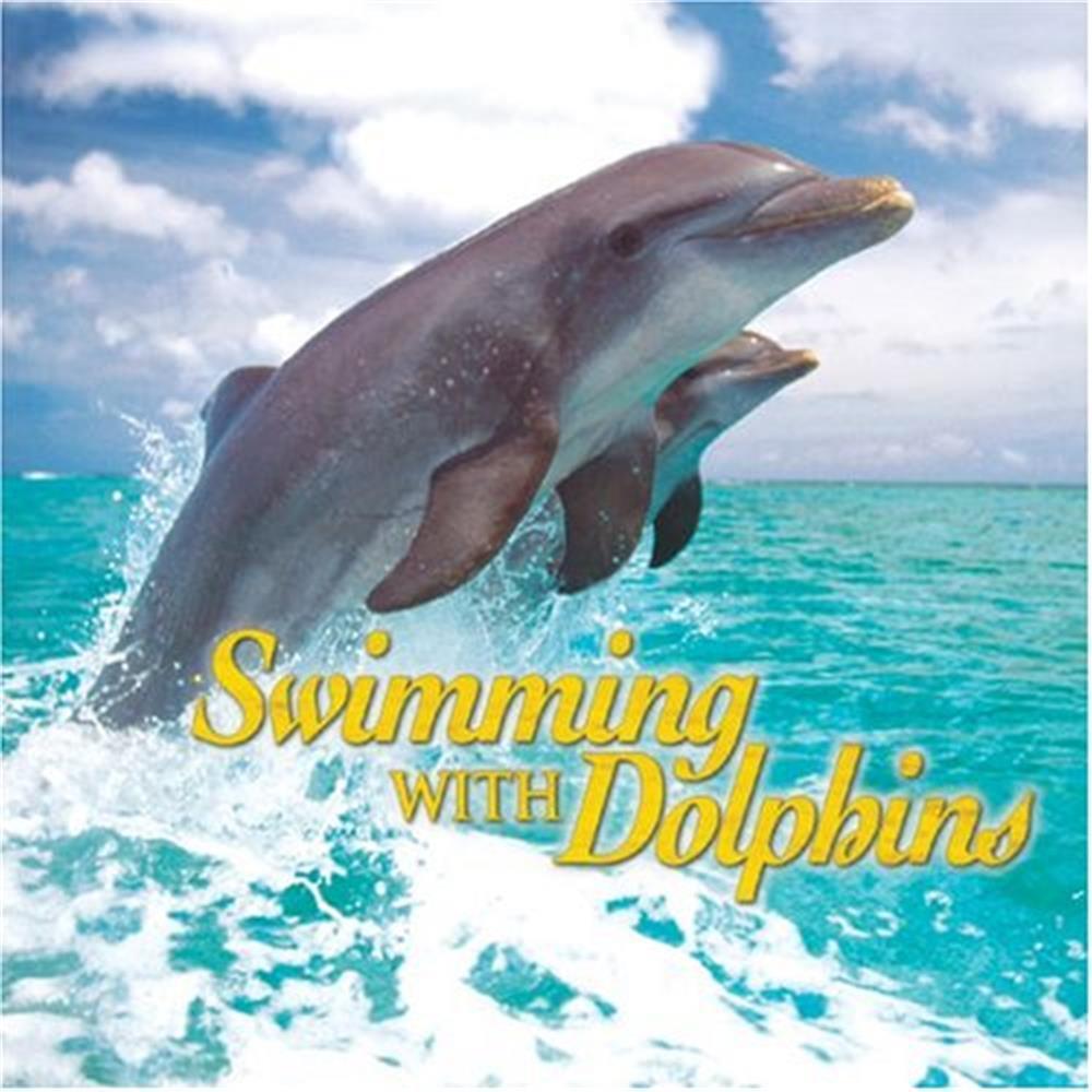 Swimming With Dolphins - Jeff Wolpert (Audio Cd)