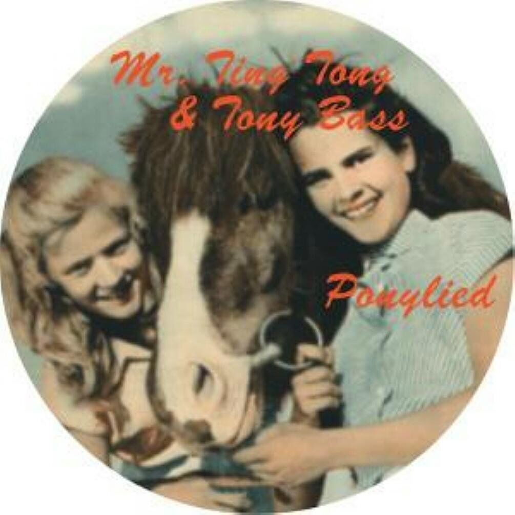 Mr. Ting Tong Ponylied (Vinyl LP)
