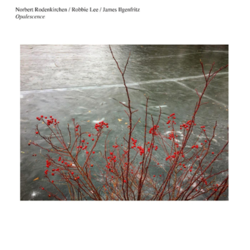Norbert Rodenkirchen/Robbie Lee/James Ilgenfritz Opalescence (Vinyl LP)