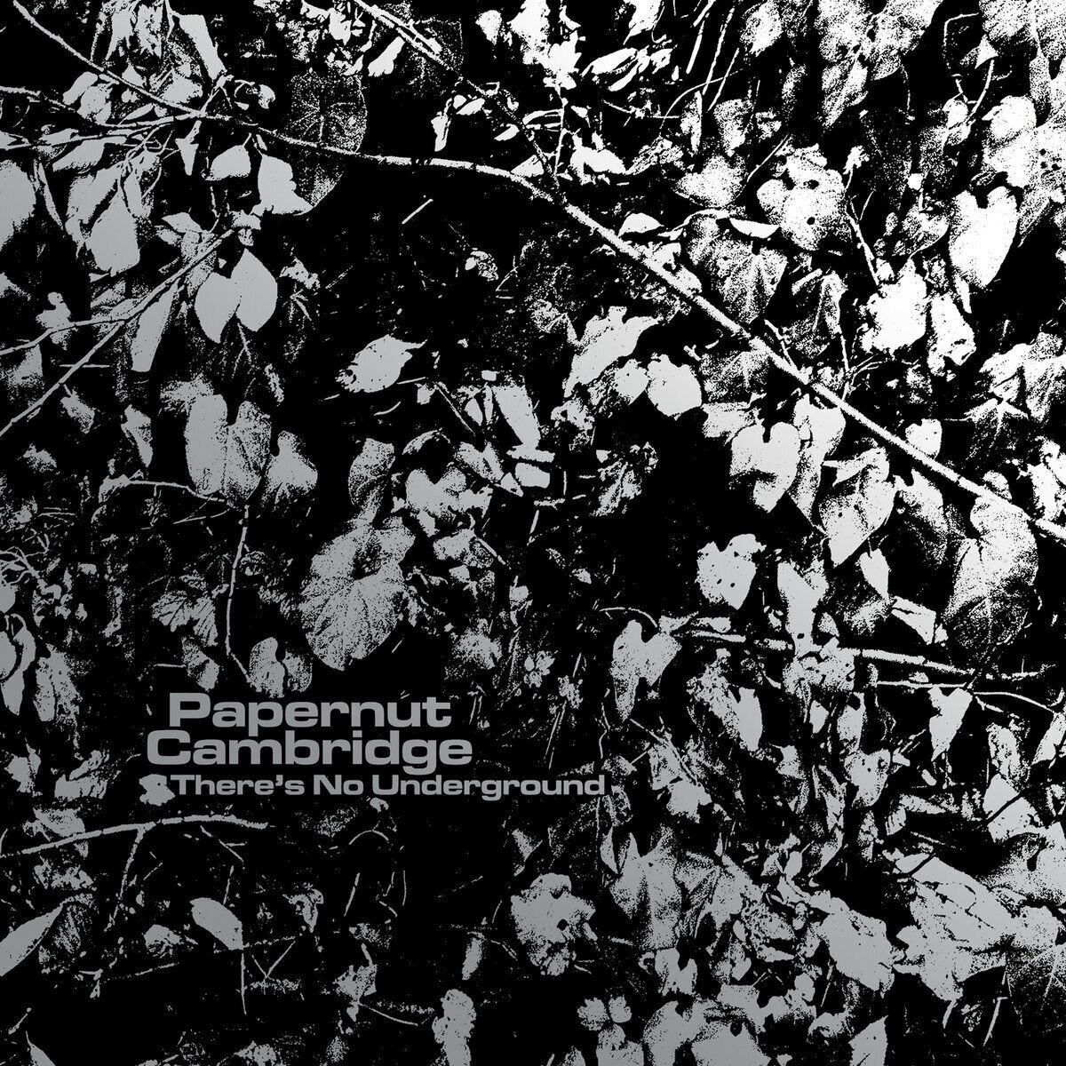 Papernut Cambridge There's no underground (Vinyl LP) 7" Single