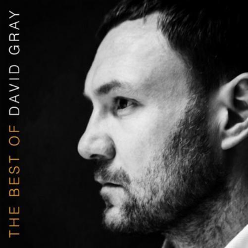 David Gray The Best of David Gray (Vinyl LP) 12" Album