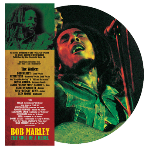 Bob Marley The Soul of a Rebel (Vinyl LP) 12" Album Picture Disc
