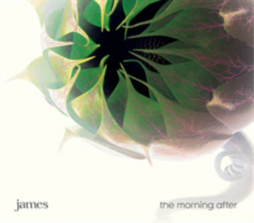 James The Morning After (CD) Album