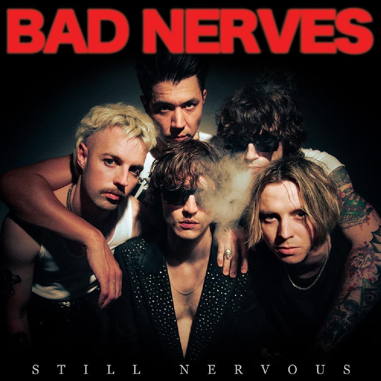 Bad Nerves Still Nervous (CD) Album