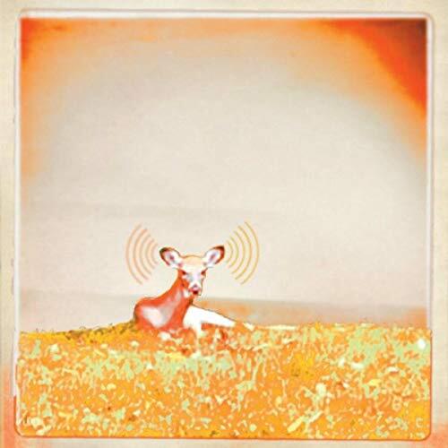 Mountain Echoes Mountain Echoes (CD)