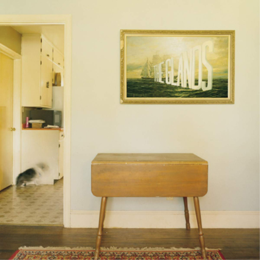 The Glands The Glands (CD) Album