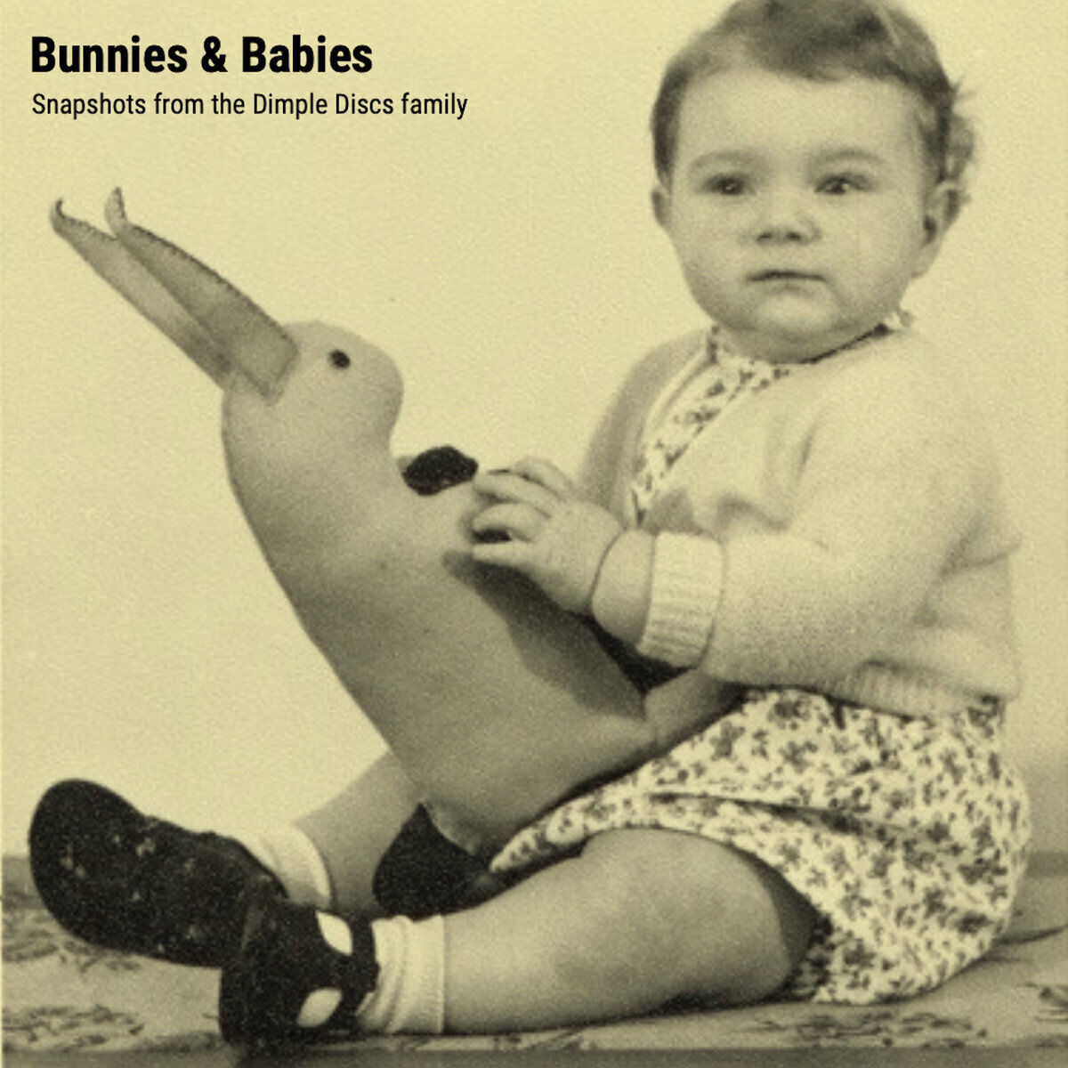 Various Artists Bunnies and Babies: Snapshots from the Dimple Discs Family (CD)