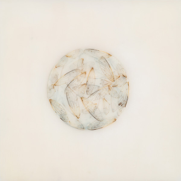 Lotte Kestner Off White (CD) Album