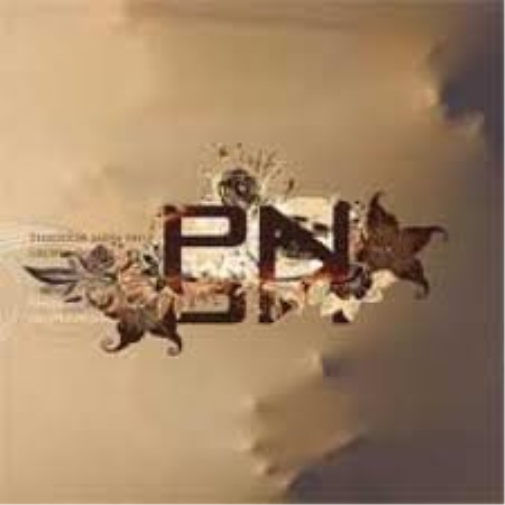 Pn Pn - Through Satin Veils Grope (CD)