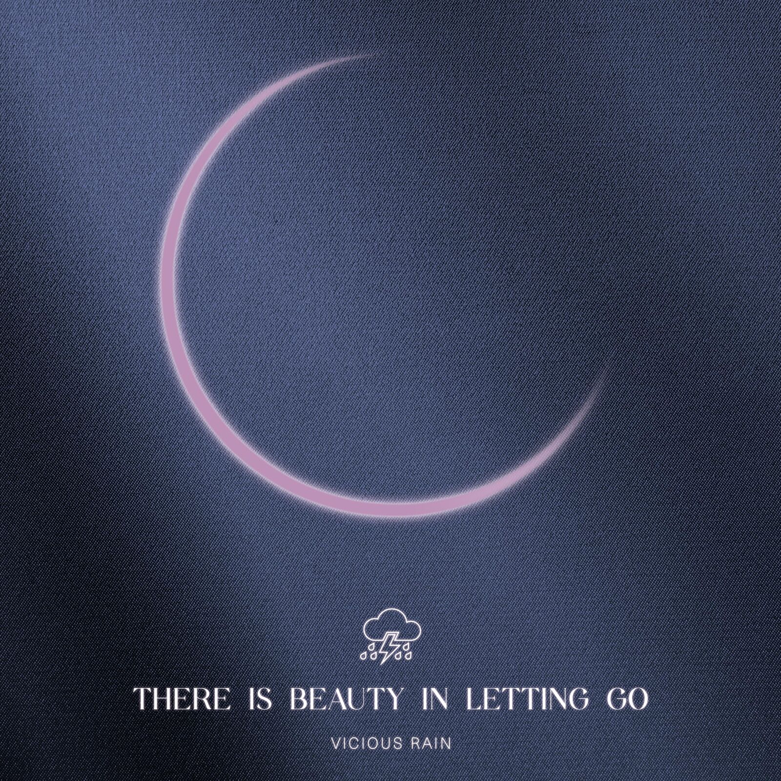 Vicious Rain There Is Beauty in Letting Go sleeve)